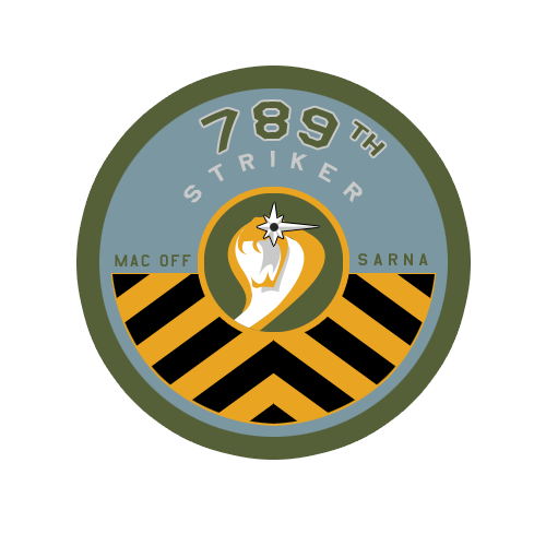 789th Striker Regiment